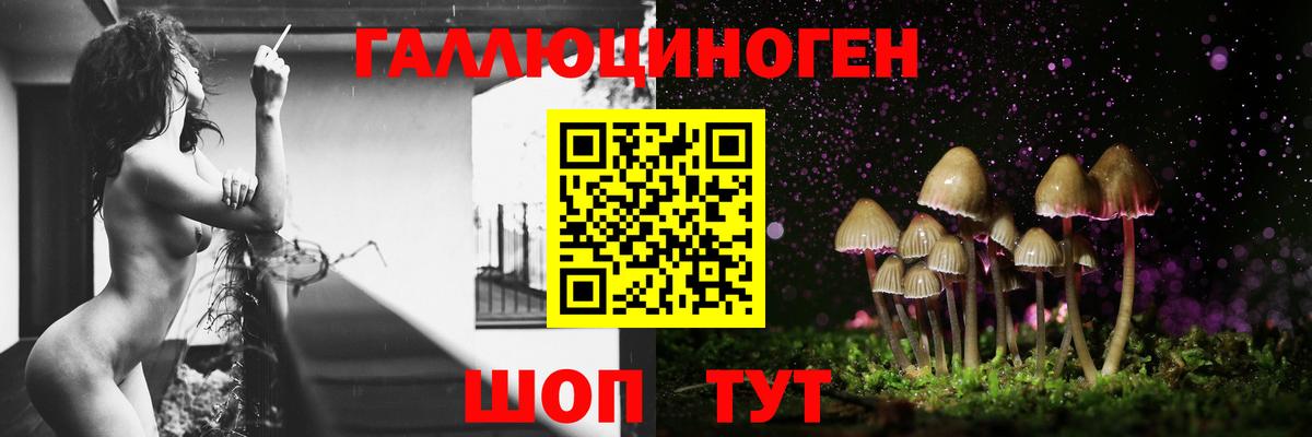 Псилоцибиновые грибы мухоморы  Галлюциногенные грибы Cubensis  Сызрань  Вход с VPN 